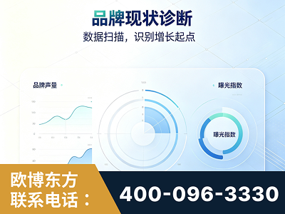 瑞丽-品牌现状诊断