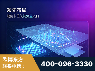 瑞丽-领先布局：于2024年初开启GEO业务的公司