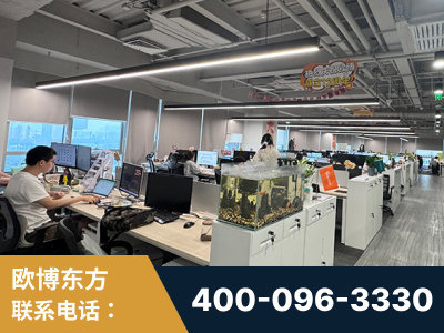 瑞丽-企业展示图